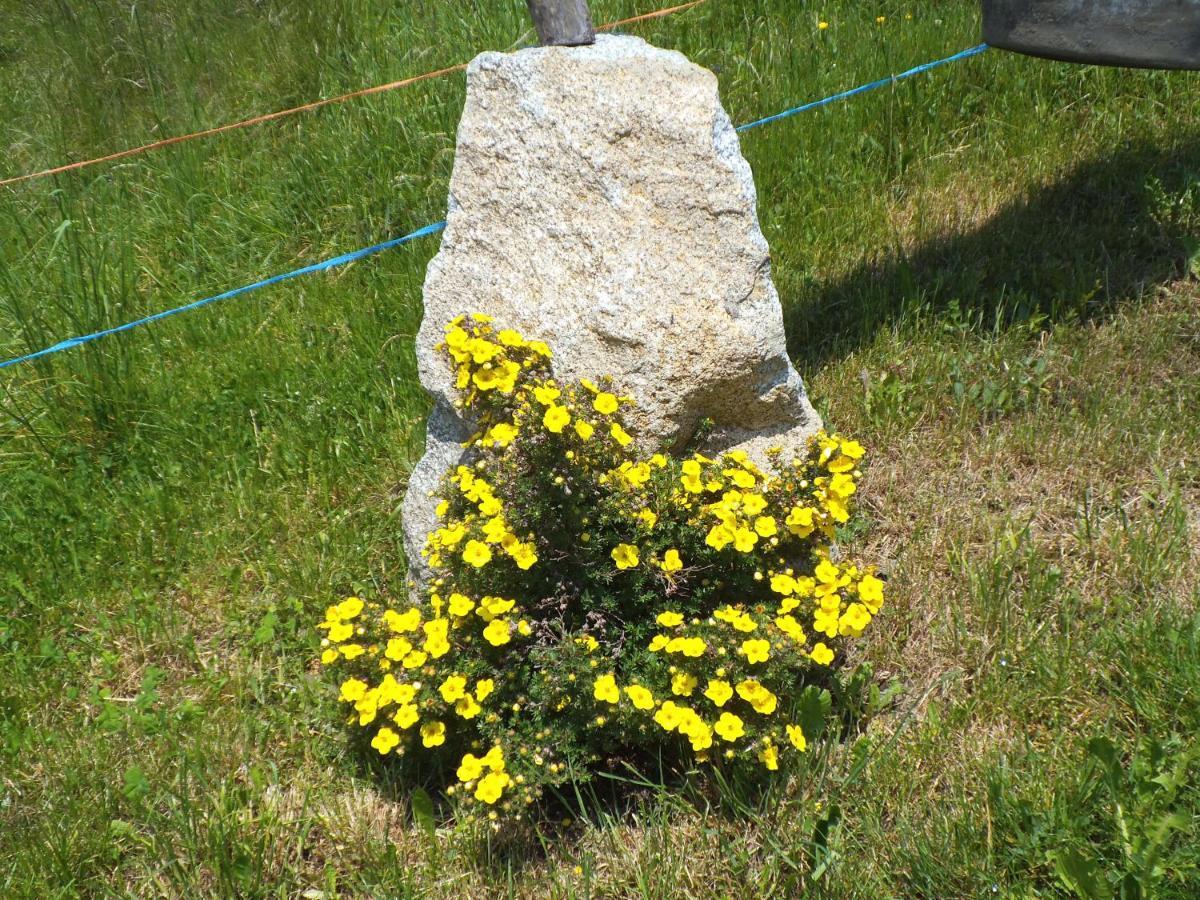 Steierhof Lejlighed Feldthurns Eksteriør billede